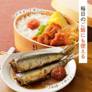 梅干し 無添加 個包装 おためし しそ漬福梅ぼ...の詳細画像3