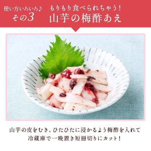 梅干し 無添加 赤梅酢 1リットル しそ梅酢 ...の詳細画像4