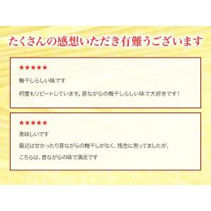 梅干し 訳あり 800g 無添加 しそ漬 福梅...の詳細画像4