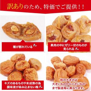 梅干し 訳あり 無添加 しそ漬 無選別品800...の詳細画像2
