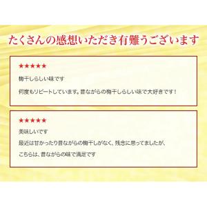 梅干し 訳あり 無添加 しそ漬 無選別品800...の詳細画像4