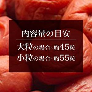 梅干し 訳あり 無添加 しそ漬 無選別品800...の詳細画像5