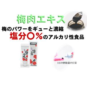梅エキス チューブ入 40g ゆうパケットでお...の詳細画像1