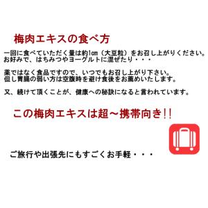 梅エキス チューブ入 40g ゆうパケットでお...の詳細画像3