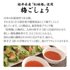 調味料 梅ごしょう50g 福井県産紅映梅使用 ...の詳細画像1