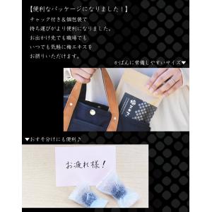 あめ 飴 梅 個包装 梅肉エキス 南高梅干し ...の詳細画像5