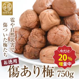 【 数量限定】今だけ20％増量中！750g→900g♪傷あり梅 紀州産南高梅 お徳用 訳あり フードロス救済 送料無料※賞味期限9月6日〜