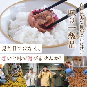 【 数量限定】今だけ20%増量中!750g→9...の詳細画像1