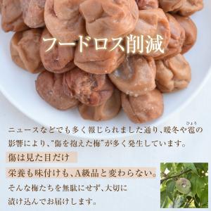 【 数量限定】今だけ20%増量中!750g→9...の詳細画像2