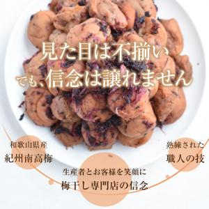 【 数量限定】今だけ20%増量中!750g→9...の詳細画像3