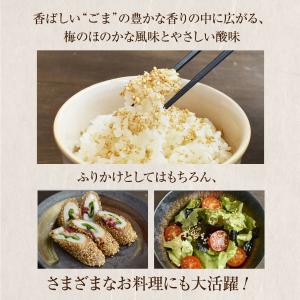 ごま 梅 梅塩 紀州南高梅 和歌山 ふりかけ ...の詳細画像1