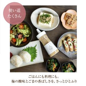 ごま 梅 梅塩 紀州南高梅 和歌山 ふりかけ ...の詳細画像2