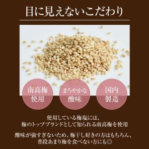 ごま 梅 梅塩 紀州南高梅 和歌山 ふりかけ ...の詳細画像3