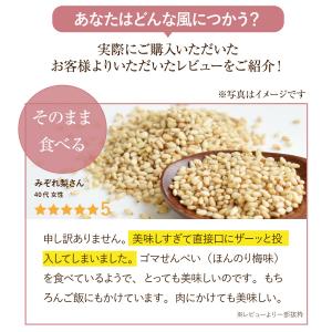 ごま 梅 梅塩 紀州南高梅 和歌山 ふりかけ ...の詳細画像4