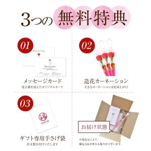 母の日 2026 プレゼント ギフト 梅干し ...の詳細画像1