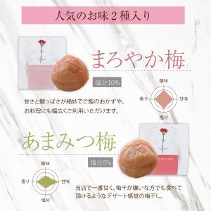 母の日 2026 プレゼント ギフト 梅干し ...の詳細画像4