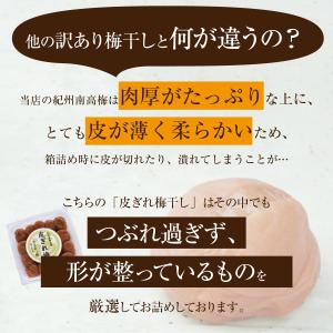 梅干し 訳あり 無添加 紫蘇 ※無添加は白干梅...の詳細画像3