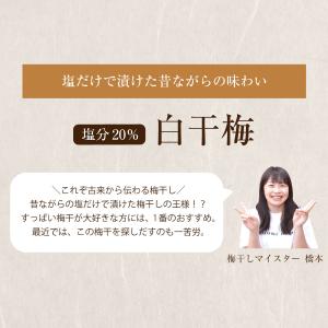 梅干し 無添加 白干し 南高梅干し 和歌山 南...の詳細画像2