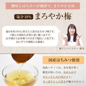 梅干し はちみつ 南高梅干し 和歌山 南高梅 ...の詳細画像2