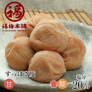 梅干し 紀州 和歌山 南高梅干し 白干梅500g（250gx2パックセット 箱入り）｜紀州梅干し 福梅本舗 Yahoo!店