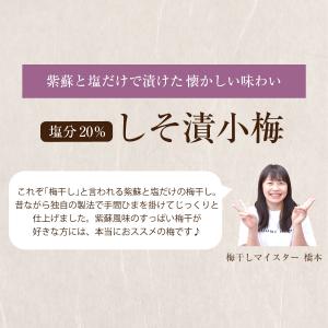 梅干し 無添加 しそ 南高梅干し 和歌山 南高...の詳細画像2