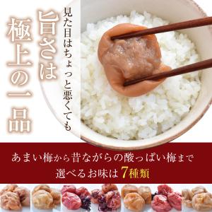 【数量限定】訳あり つぶれ梅干し 500g 和...の詳細画像2