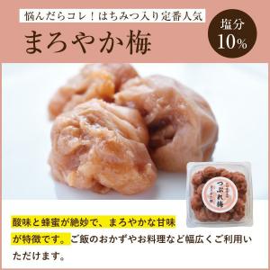 【数量限定】訳あり つぶれ梅干し 500g 和...の詳細画像5