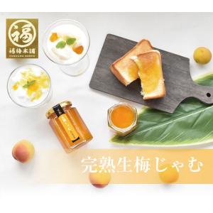 ジャム 梅 ギフト プレゼント 完熟梅  南高梅干し 和歌山  国産 個数限定 生梅じゃむ 150g