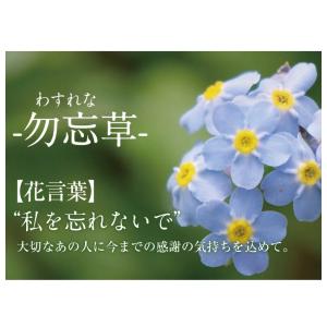 10/1より価格改訂!梅干し 香典返し お供え...の詳細画像3