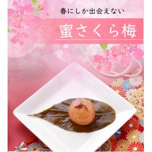 梅干し 紀州 南高梅干し 蜜さくら梅200g