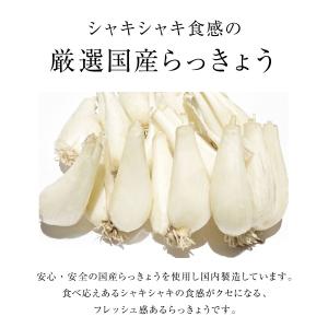 らっきょう 国産 ご飯のお供 梅肉 梅干し お...の詳細画像2