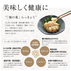 らっきょう 国産 ご飯のお供 梅肉 梅干し お...の詳細画像5