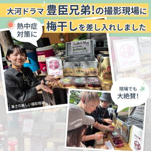 梅干し 無添加 訳あり はちみつ 紫蘇 南高梅...の詳細画像1