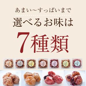 梅干し 無添加 訳あり はちみつ 紫蘇 南高梅...の詳細画像5