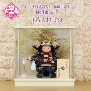 柿沼東光 五月人形 木目込み 作 (大空の夢 白 アクリルケース 飾り