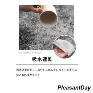 カーペット 洗える 四季 ラグ オールシーズン...の詳細画像2
