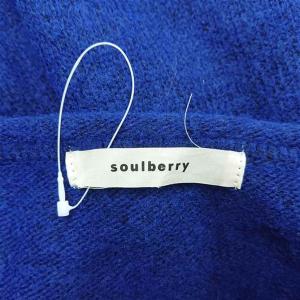 ◇ ⊇ ソウルベリー soulberry t9...の詳細画像3