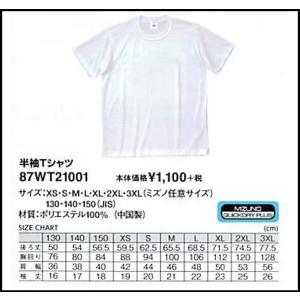 ミズノ 半袖Tシャツ 87wt21001 （ホワイト／マーク無）