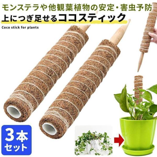 ココスティック3本セットモンステラ支柱観葉植物おしゃれプランター植木鉢植物園芸支柱観葉支柱ガーデニン...