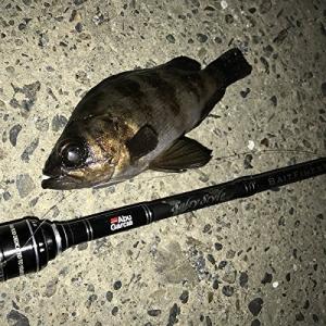 シーバスロッド10ft 釣り ロックフィッシュロッド の商品一覧 ロッド 釣り竿 釣り アウトドア 釣り 旅行用品 通販 Yahoo ショッピング