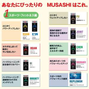 正規販売 MUSASHI ムサシ NI ニー ...の詳細画像4