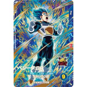 BANDAI（バンダイ） フュージョンワールド 【パラレル】SB02-060