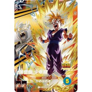 BANDAI ドラゴンボールスーパーダイバーズ SDV5-008 孫悟飯