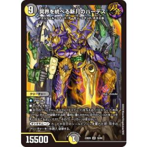 デュエルマスターズ コモン、アンコモン、レア シークレットレア】デュエルマスターズ DM25RP1 秘19/秘24 洗打