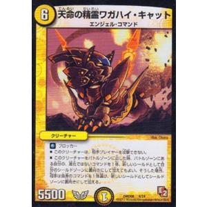 タカラトミー（TAKARA TOMY） デュエルマスターズ/DM25-RP1/SP4/R/光開