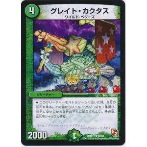 タカラトミー（TAKARA TOMY） デュエルマスターズ/DMX-11/15/SR/偽りの