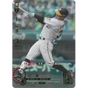 ポ*タ様 ドリームオーダー　古賀優大　SSPP fullahead_do-cbp02-174