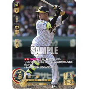 ドリームオーダー 【UR】CBP03-T02 中野　拓夢