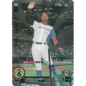 ブシロード ヴァンガード D-TB06／MSR07 三銃士の想いを宿すフランス王