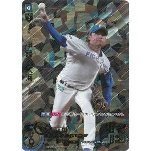 ドリームオーダー 【SDR】PSD06-F01 伊藤　大海